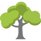Buckeye Tree Trimming