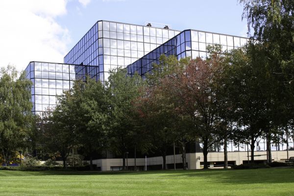 Cost of Commercial Tree Trimming in Buckeye